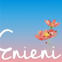 logo_tokoeni