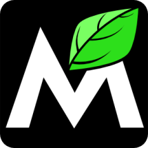 Logo Midztoyz