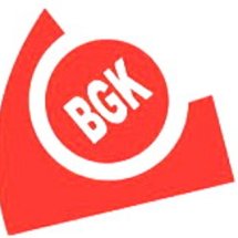 Logo BGKStore