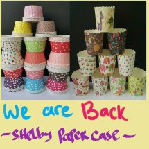 Logo shelby_shop