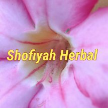 Logo Shofiyah Herbal