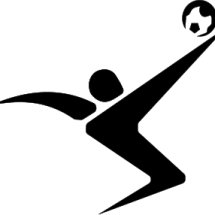 Logo importir jersey