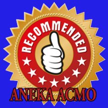 Logo ANEKA ACCMO