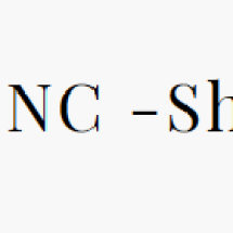 Logo the new collector