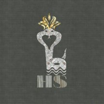 Logo New HS Store