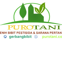 Logo Purotani.ID