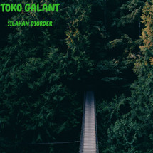 logo_tokogalant