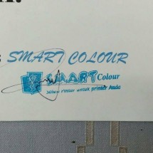 Logo INK SMART COLOUR