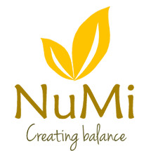 Logo NUMI Center