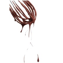 Logo fey's baking club
