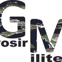 logo_militergrosir