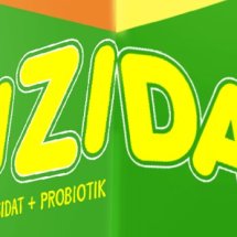 Logo gizidat