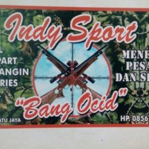 Logo Indy sport