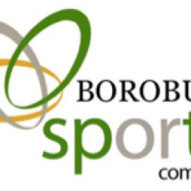 Logo Borobudur Sport