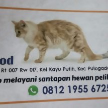 Logo mrpetfood