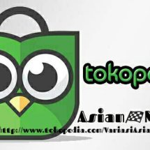 Logo Asian Motor