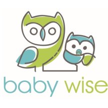 Logo Baby Wise