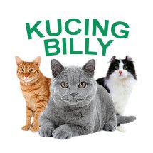 Logo Kucingbilly