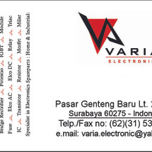 Logo Varia Electronic