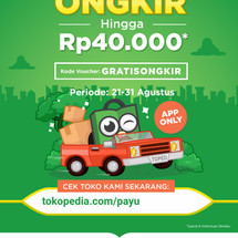 Logo Payu