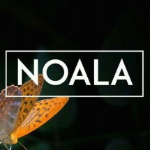 Logo NOALA - Mom & Kids Store