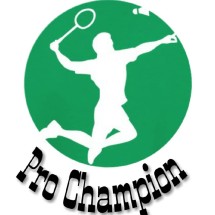 Logo pro champion
