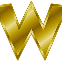 Logo WACO STORE JKT
