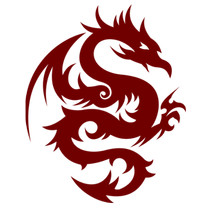 Logo Dragon_Global