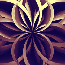 Logo Healthy Shop 2