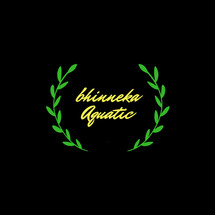 Logo Bhinneka Aquatic