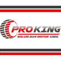 Logo Proking