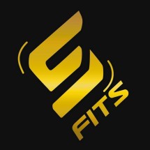 Logo SFIDN FITS