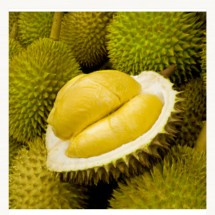 Logo durian olshop