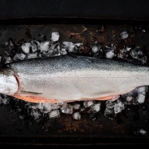 Logo Rumah Salmon