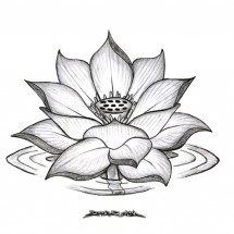 Logo NISAN FOTO