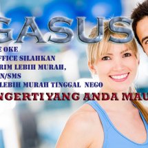 Logo vegasus