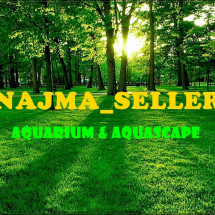 Logo Najma_sell