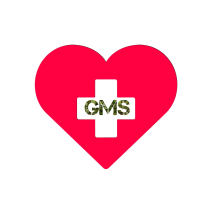 Logo General Medical Supplier