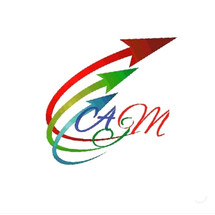 Logo Apan Jaya Motor