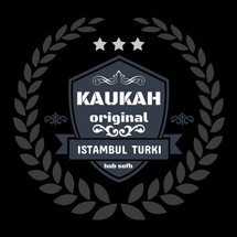 Logo HUB SOFH