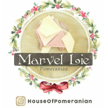 Logo House Of Pomeranian