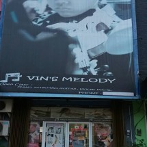 Logo Vins Music Store