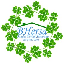 Logo Bandar Herbal Semarang