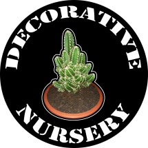Logo decorative_nursery