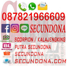 Logo scorpion/ kalajengking
