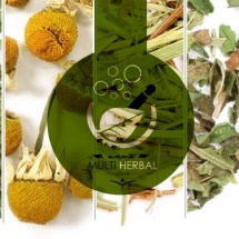 Logo Bandung Herbal Murah