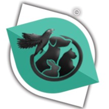 Logo Petshop Murah