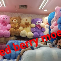 Logo redberrymoet