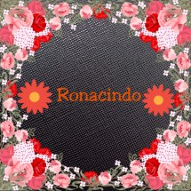 Logo RONACINDO