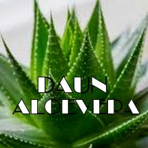 logo_daunaloeverashop